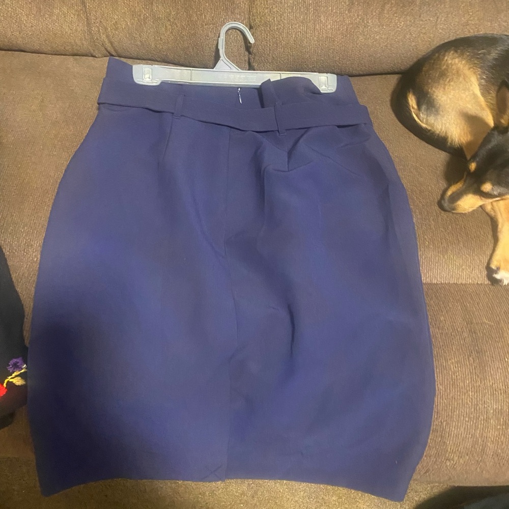 Chic Women's Navy Skirt